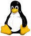 Server Runs Linux